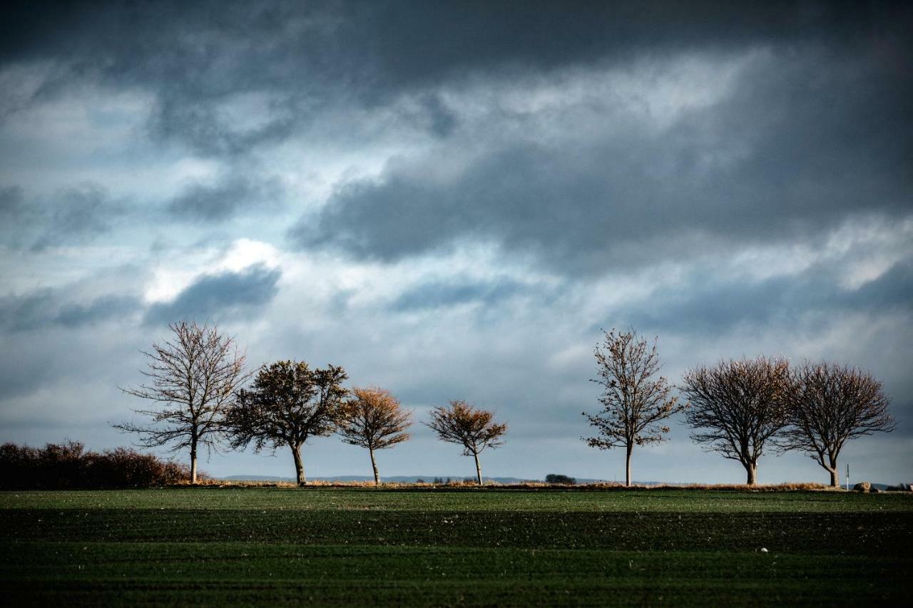 Ferienhaus Nordbrise Dranske Exteriér fotografie